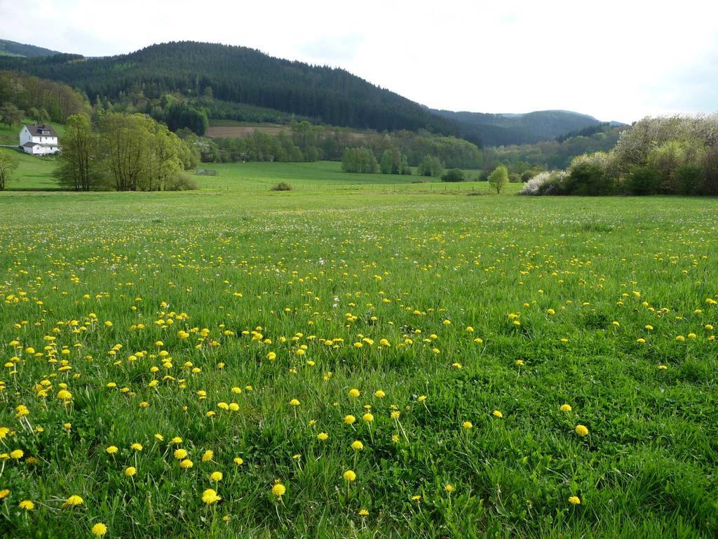 Landhaus Lenneper-Fuehrt Kirchhundem Zewnętrze zdjęcie